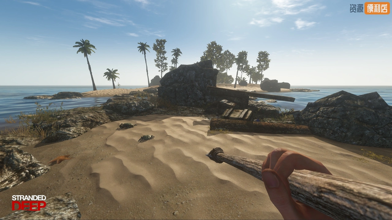 1685332822-cef8c530631e1cf 1685332822-cef8c530631e1cf