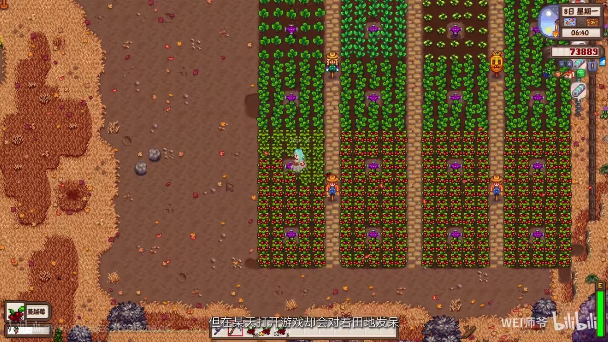 星露谷物语 200+MOD整合包游戏截图-2