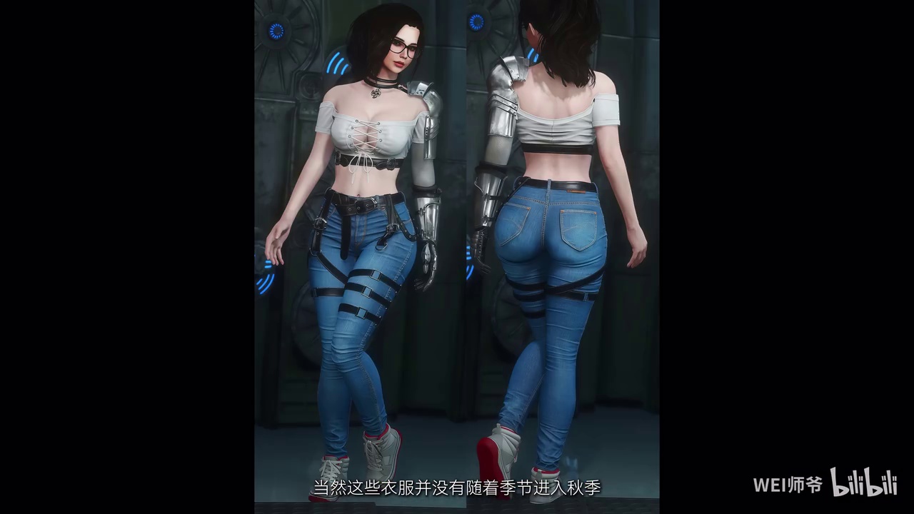 辐射4全DLC本体+次世代实验室主题整合包 by 师爷 9